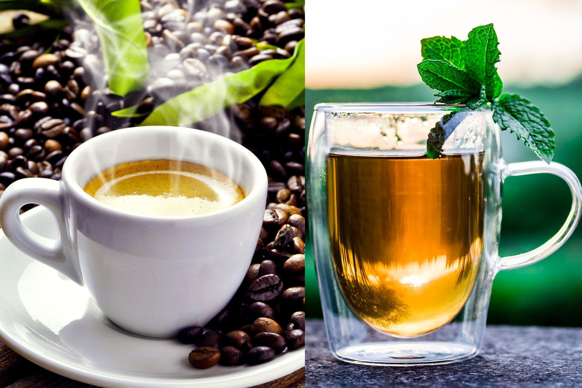 black tea vs coffee caffeine content