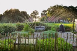 The Importance Of Gardening Explained