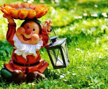 History of Garden Gnomes & The Look of Gnomes