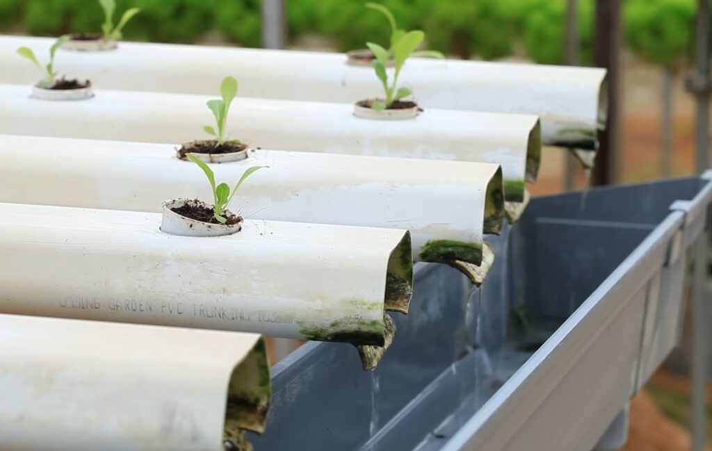 Hydroponic gardening saves water. All about Hydroponics Plants Water Supply & Reuse
