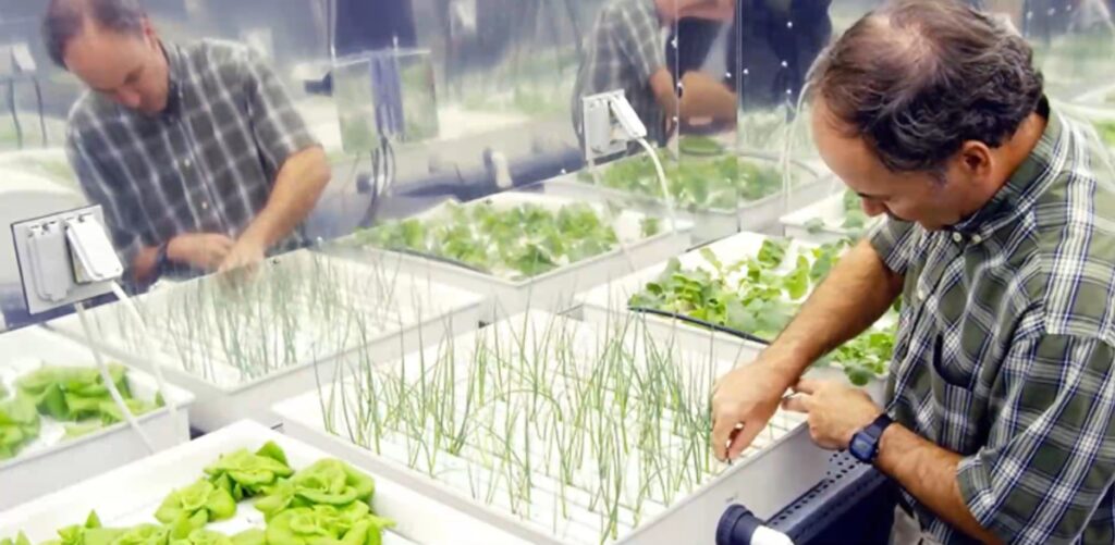 Hydroponics seen when NASA implemented this system to feed their astronauts in the space station.