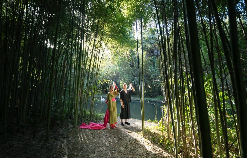 Importance of Bamboo Trees to a Chinese Garden - Asian Man And Woman Standing Between Green Bamboo Trees (Chinese)