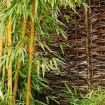 Bamboo Garden Background Bamboo Botanical Branch Garden Green