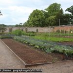 Garden Netting