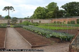 Garden Netting