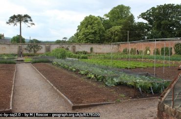 Garden Netting