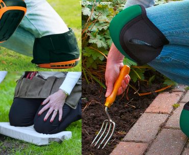 Everything You Need to Know about Gardening Knee Pads