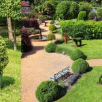 When to Trim Bushes. Recommendations of Experts