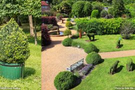 When to Trim Bushes. Recommendations of Experts