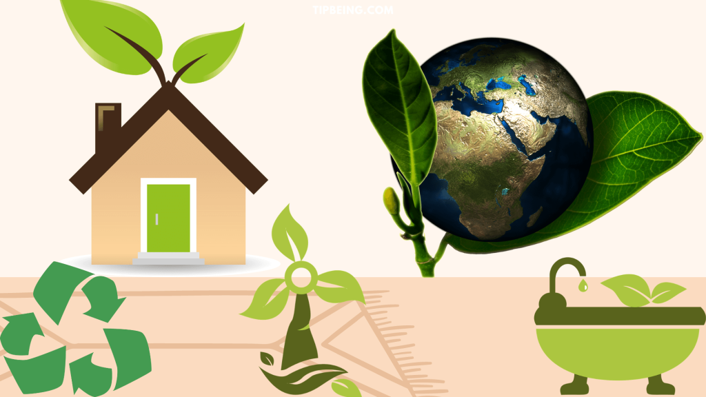 Sustainable Living at Home: Easy Eco-Friendly Practices for Everyday Life