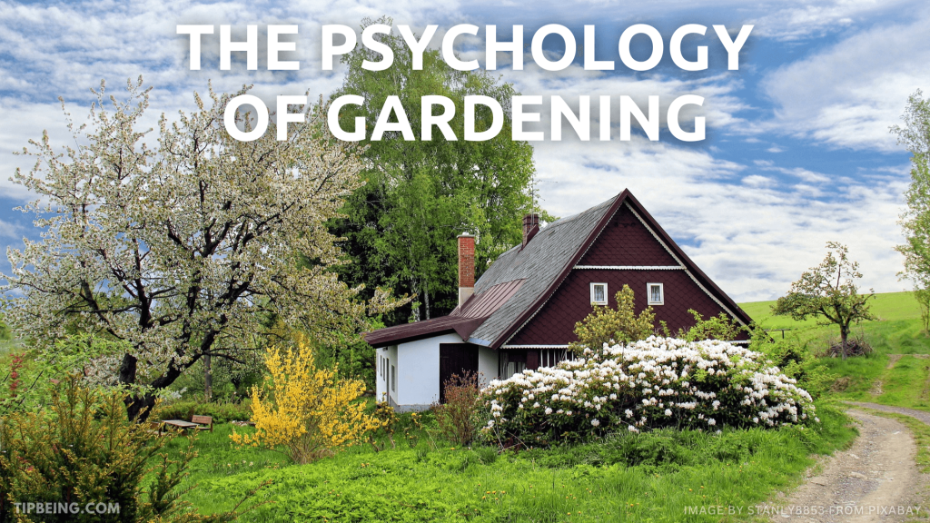 The Psychology of Gardening: How Tending Plants Boosts Mood