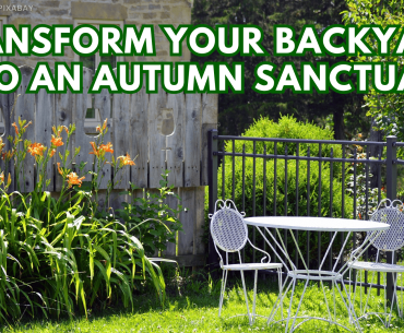 Transform Your Backyard into an Autumn Sanctuary: Outdoor Living Space Ideas